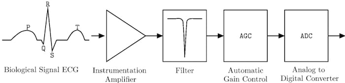 Standard processing steps for a biological signal.