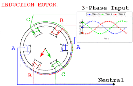 Working principle of a three-phase induction motor