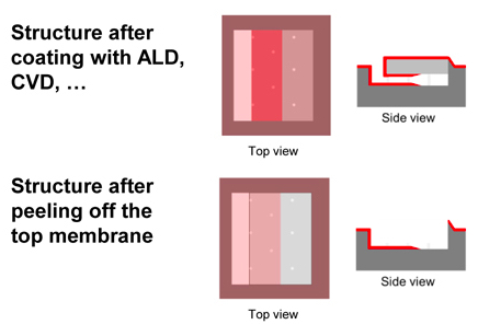 Structure post-ALD coating and after peeling off the membrane